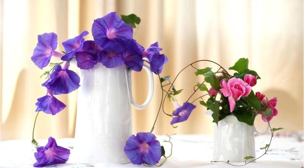 morning glory, roses, jugs Wallpaper 2560x1024 Resolution