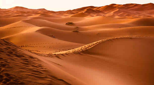 Morocco Desert Wallpaper