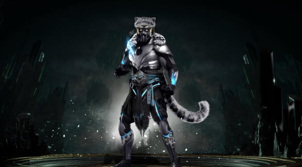 Mortal Kombat 11 Character Digital Wallpaper 1082x2042 Resolution