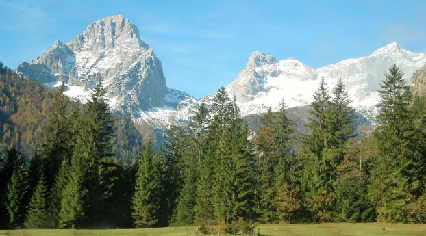 mountains, alps, trees Wallpaper 480x854 Resolution