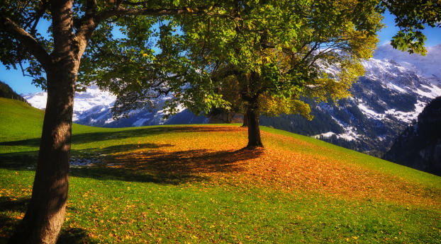 mountains, autumn, grass Wallpaper 1280x1024 Resolution