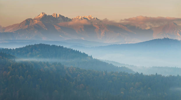 mountains, fog, top view Wallpaper 480x800 Resolution