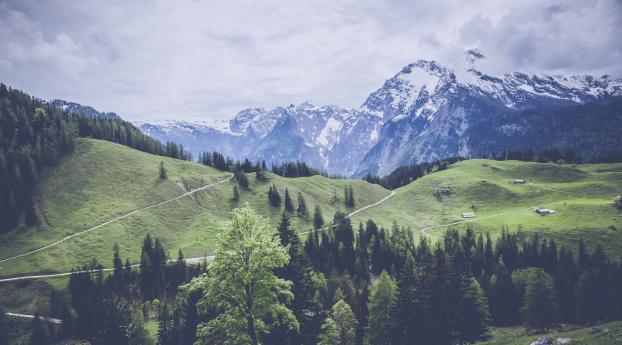 mountains, grass, forest Wallpaper 2560x1080 Resolution