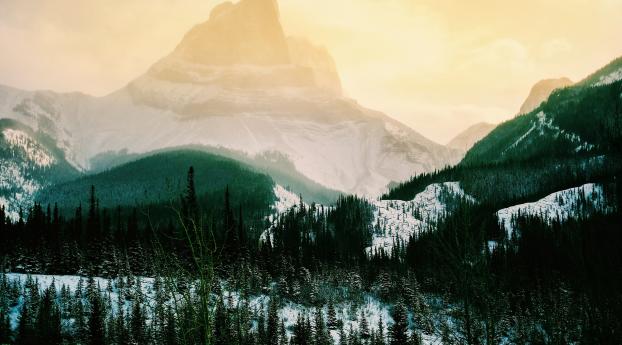 mountains, highland, trees Wallpaper 5120x2880 Resolution