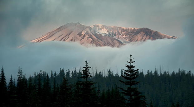 mountains, sky, trees Wallpaper 480x854 Resolution