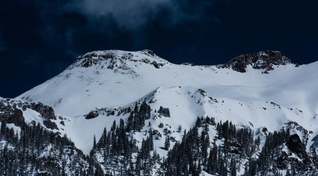 mountains, snow, trees Wallpaper 1280x800 Resolution