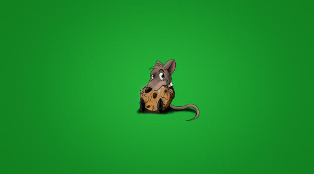 mouse, cookie, food Wallpaper 360x640 Resolution
