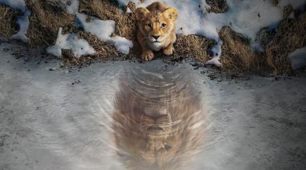 Mufasa The Lion King 4K 2025 Movie Wallpaper