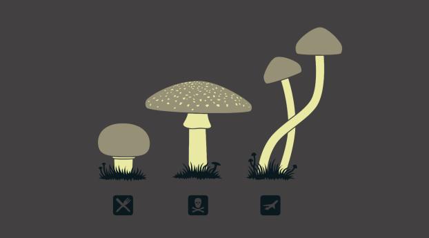  Mushroom Minimalism Wallpaper 2560x1080 Resolution