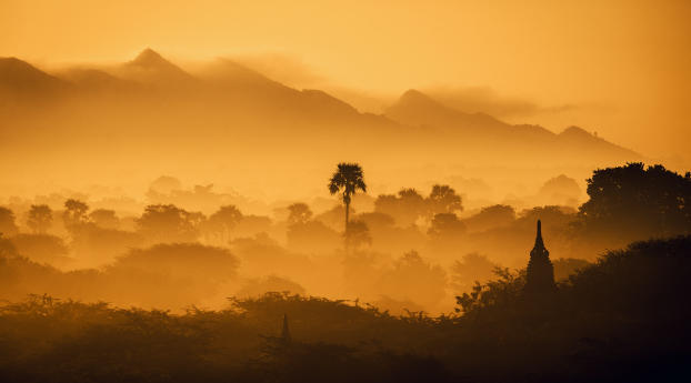 Myanmar Forest 4K Sunset Wallpaper 1080x1920 Resolution