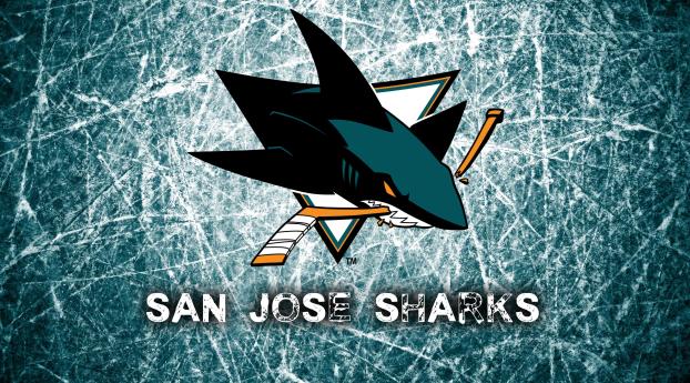 1440x2960 national hockey league, san jose sharks, logo Samsung Galaxy Note  9,8, S9,S8,S8+ QHD Wallpaper, HD Sports 4K Wallpapers, Images, Photos and  Background - Wallpapers Den