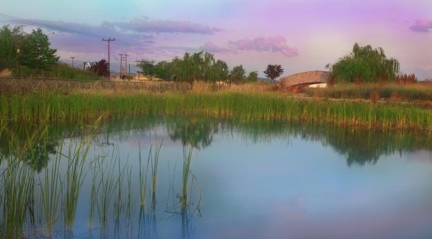 nature, pond, bridge Wallpaper 2560x1600 Resolution