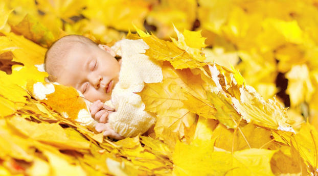 New Born Baby Sleeping Photoshoot Wallpaper