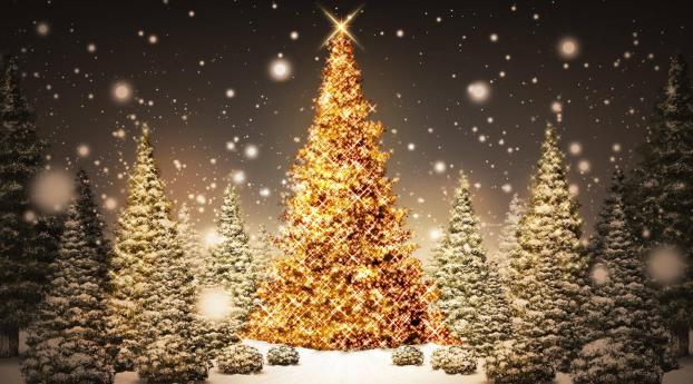 new year, christmas, trees Wallpaper