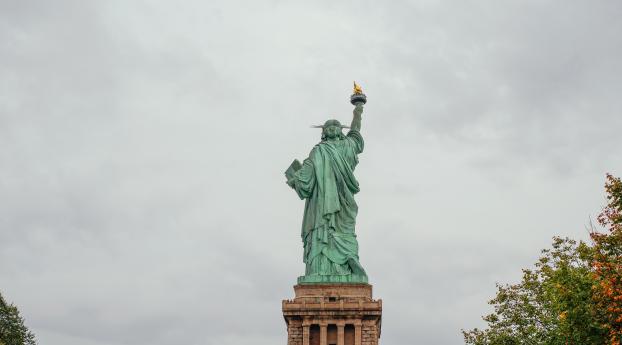 new york, statue of liberty, sculpture Wallpaper 480x854 Resolution