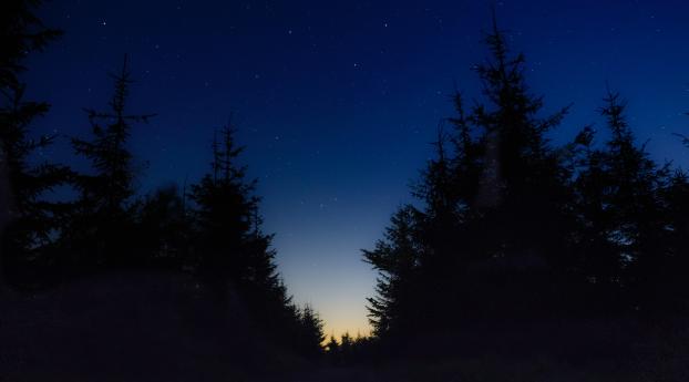 Nice View Between Forest Trees At Evening Sky Wallpaper 1080x1920 Resolution