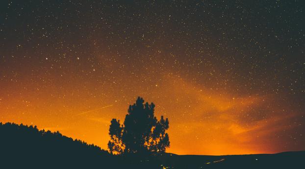 night, stars, sky Wallpaper 1440x3200 Resolution