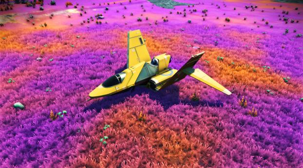 No Mans Sky Game Plane Colorful Fields Wallpaper 1080x2280 Resolution