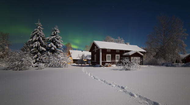 northern lights, winter, snow Wallpaper 1360x768 Resolution