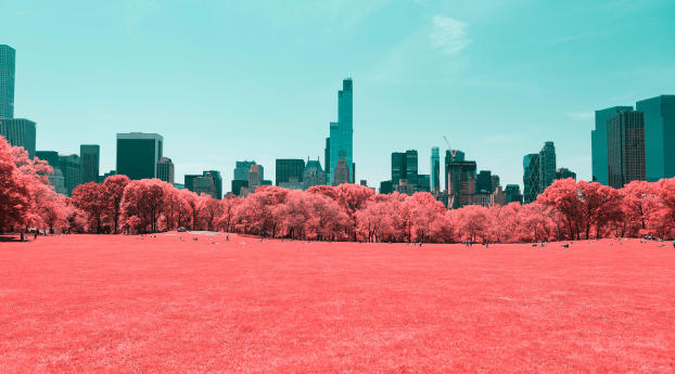 NYC Central Park Infrared Wallpaper 1400x900 Resolution