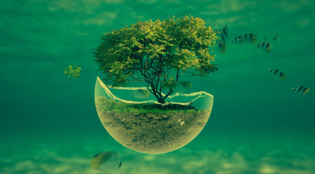 Ocean Tree Wallpaper 1080x1920 Resolution