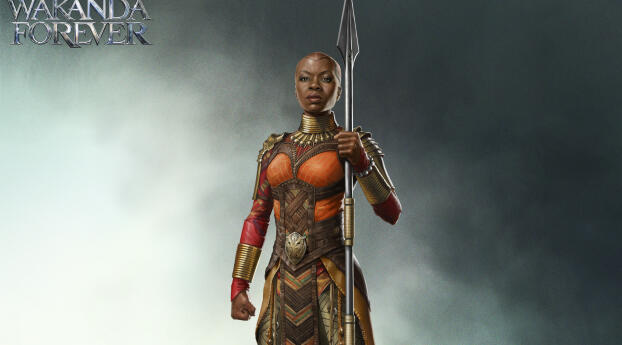 Okoye HD Wakanda Forever Wallpaper 800x600 Resolution