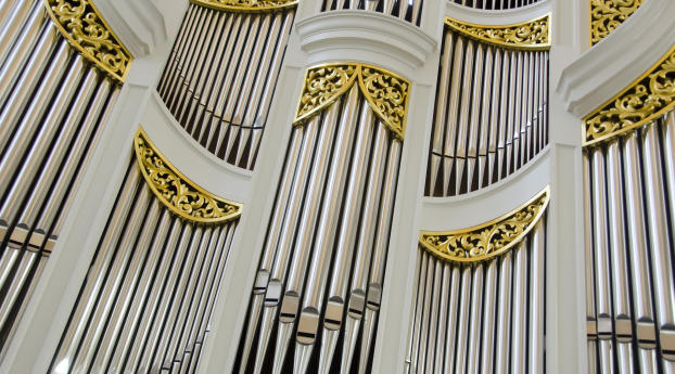 organ, instrument, cathedral Wallpaper 750x1334 Resolution