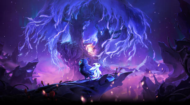 Ori and The Will Of The Wisps Wallpaper 1024x1024 Resolution