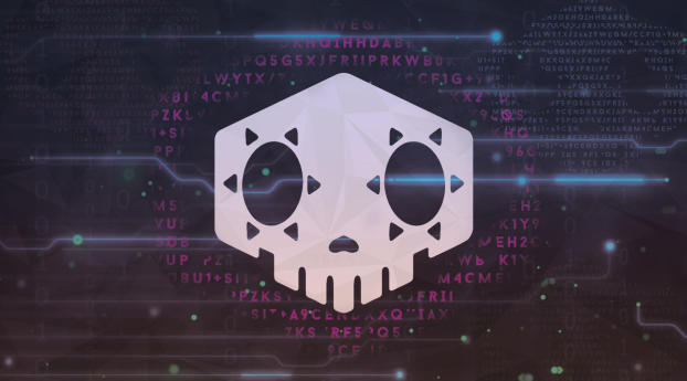 Overwatch Sombra Logo Wallpaper 2560x1600 Resolution
