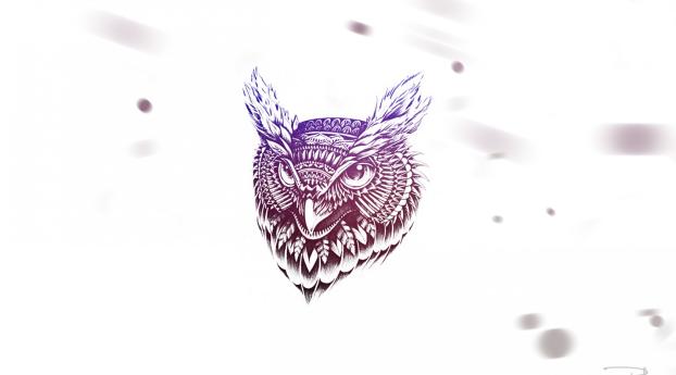owl, art, face Wallpaper 1440x900 Resolution