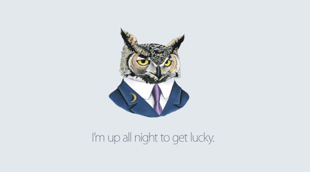 owl, art, inspiration Wallpaper