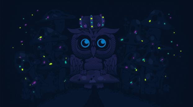 owl, black, bird Wallpaper 3840x2160 Resolution