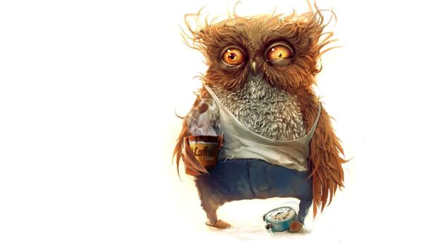 owl, coffee, alarm clock Wallpaper 1336x768 Resolution