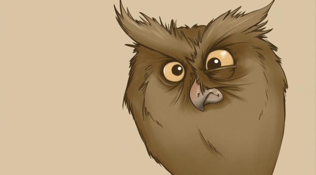 owl, eyes, surprise Wallpaper 2048x2048 Resolution