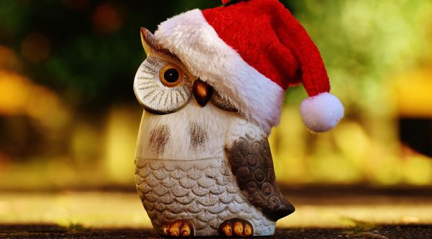 owl, hat, santa claus Wallpaper 3840x2160 Resolution