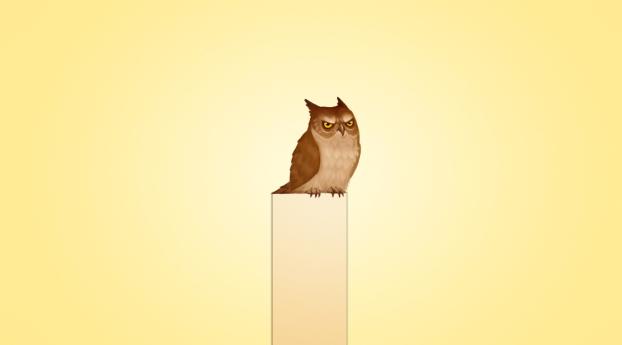 owl, picture, post Wallpaper 1360x768 Resolution