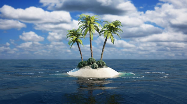Palm Trees In The Middle Of Ocean Wallpaper 3000x3000 Resolution