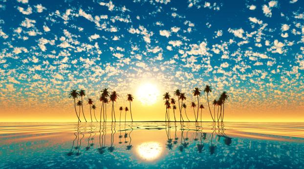 Palm Trees Reflection Sunset Wallpaper 1080x2280 Resolution