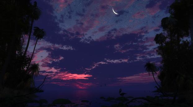 palm trees, sky, night Wallpaper 2560x1024 Resolution