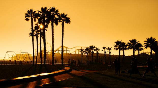 palm trees, sunset, people Wallpaper
