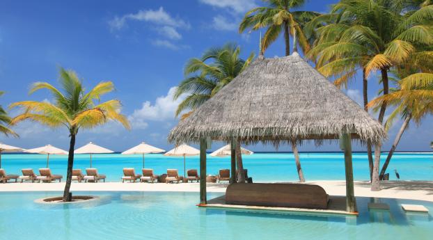 palm trees, vacation, sun beds Wallpaper 5600x2450 Resolution