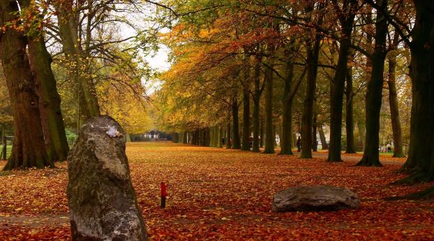 park, autumn, leaves Wallpaper 1024x768 Resolution