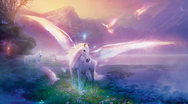 pegasus, horse, magic Wallpaper
