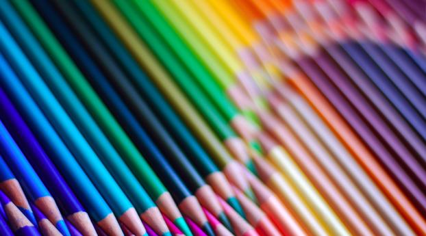 pencils, composition, rainbow Wallpaper