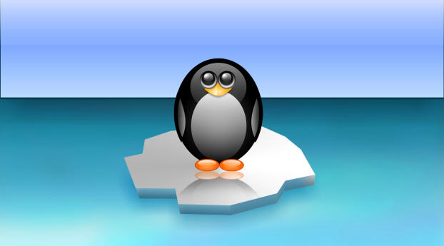 penguin, ice floe, minimalism Wallpaper 2932x2932 Resolution
