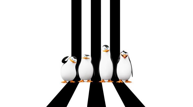 Penguins Of Madagascar 2014 Poster Wallpaper Wallpaper