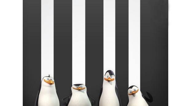 Penguins Of Madagascar HD Desktop Wallpapers Wallpaper 1440x2992 Resolution