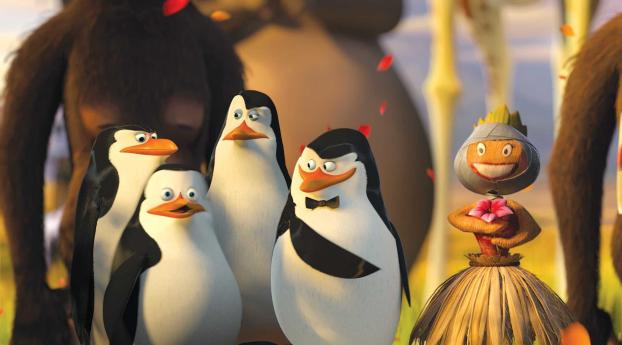 Penguins Of Madagascar Movie HD Wallpapers Wallpaper 1920x1080 Resolution