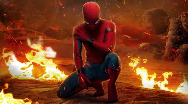 Peter Parker Spider-Man Homecoming Wallpaper 640x960 Resolution