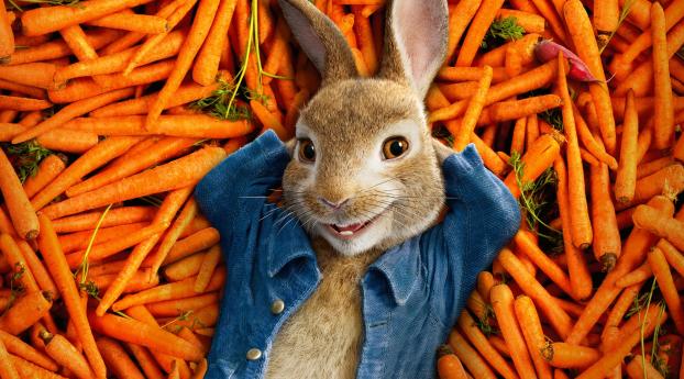 Peter Rabbit 2018 Movie Poster Wallpaper 1336x768 Resolution